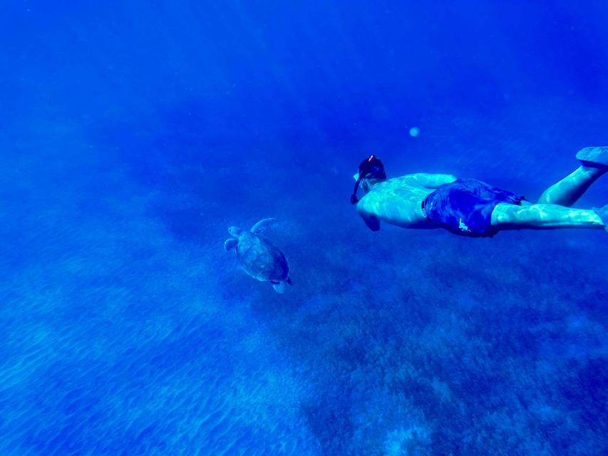 Abades: Guided Snorkeling Tour with Photos - Key points before you go