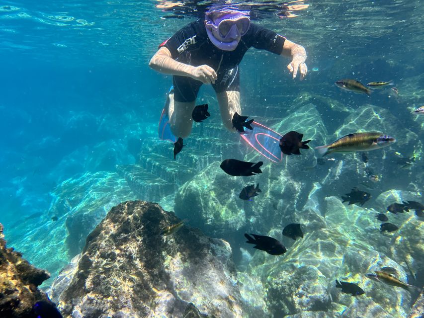 Abades: Guided Snorkeling Tour with Photos - Practical tips for a smoother snorkel at Playa Abades