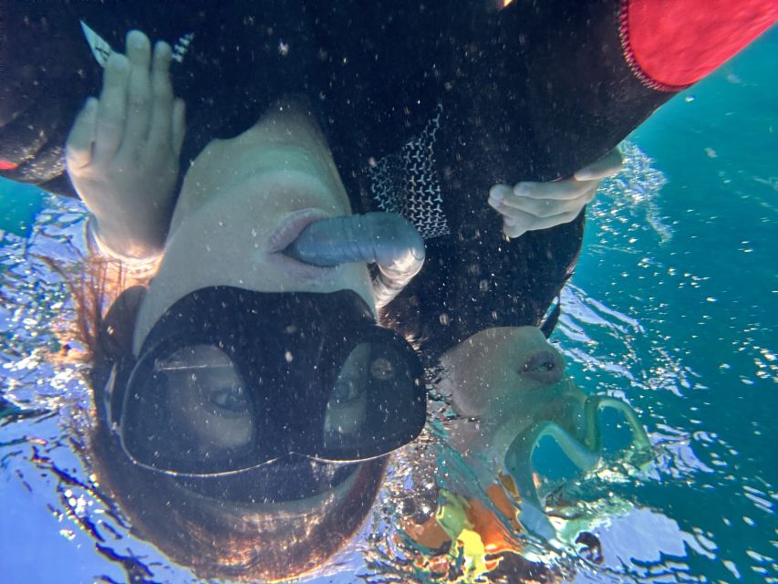 Abades: Guided Snorkeling Tour with Photos - Underwater time: coral, fish, and where creatures actually show up