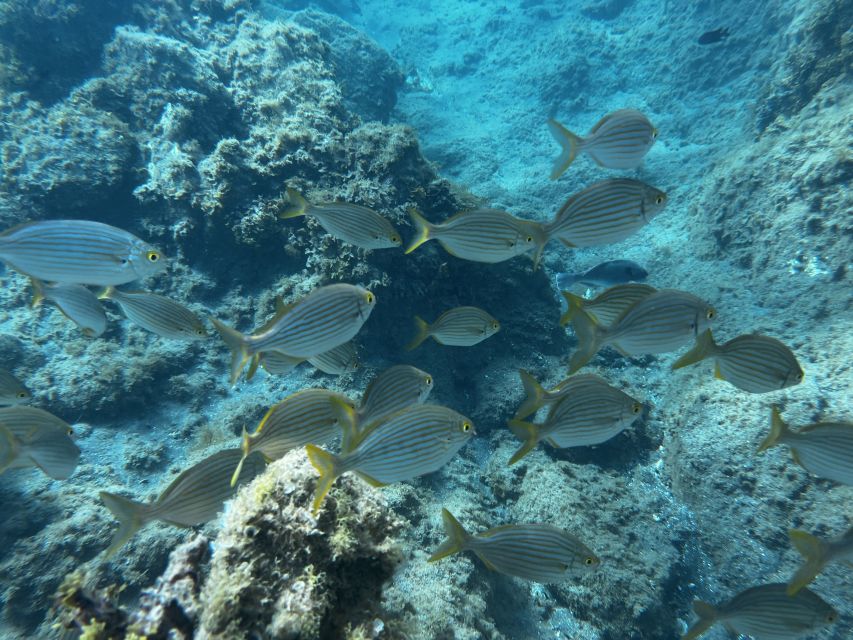 Abades: Guided Snorkeling Tour with Photos - Underwater photos and videos: why the free add-on matters