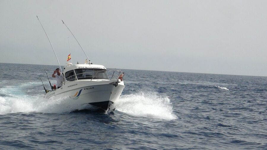 Adeje: 3.5–Hour Professional Fishing Experience - The 3.5-Hour Schedule: Trolling, Bottom-Fishing, and Bay Swim Breaks