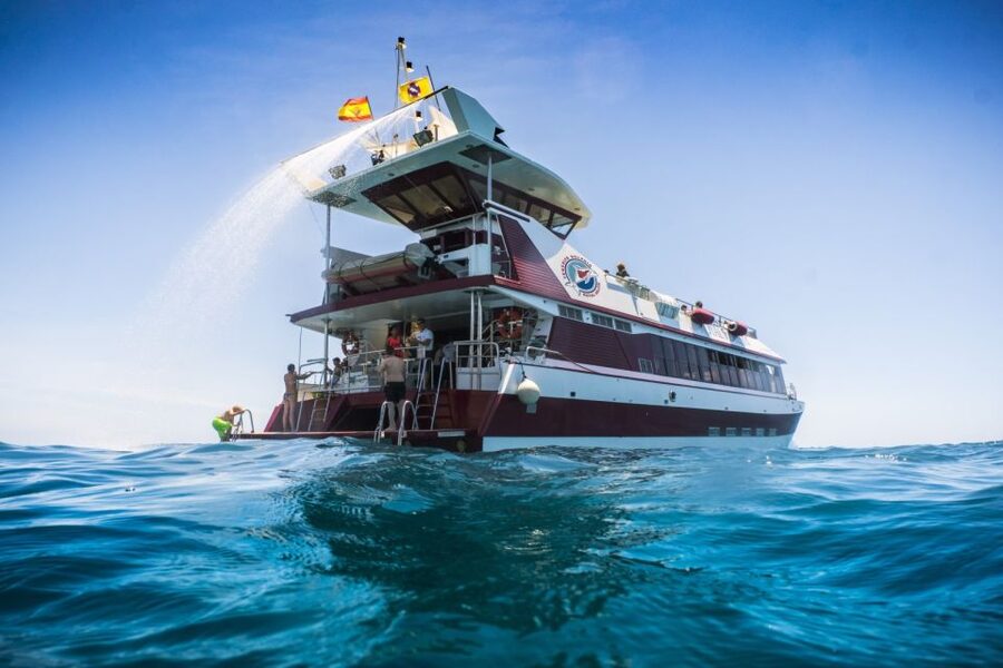 Adeje: Whale and Dolphin Watching Cruise with Lunch and Swim - Underwater viewing on a “submarine window” boat