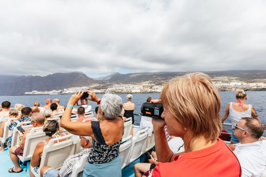 Adeje: Whale and Dolphin Watching Cruise with Lunch and Swim - Wildlife watching with real conservation rules (Teno-Rasca and the “don’t mess with them” approach)