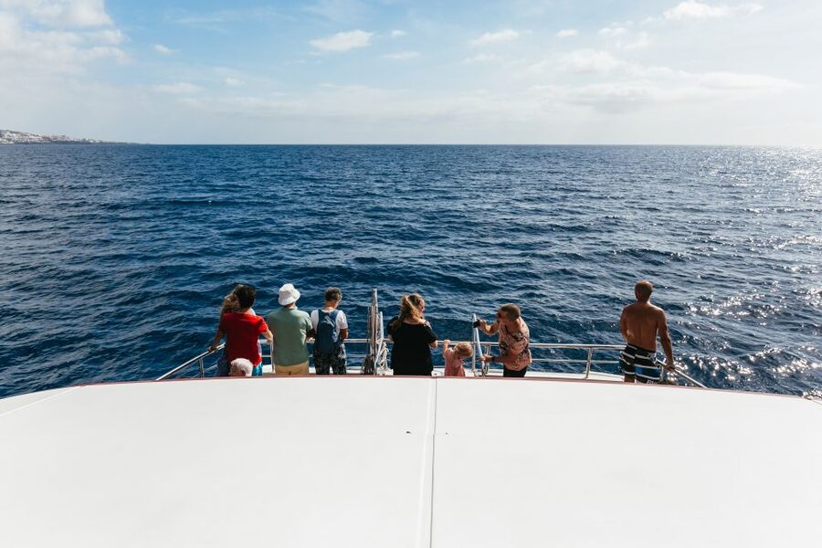 Adeje: Whale and Dolphin Watching Cruise with Lunch and Swim - Drinks during the cruise: included, and actually useful
