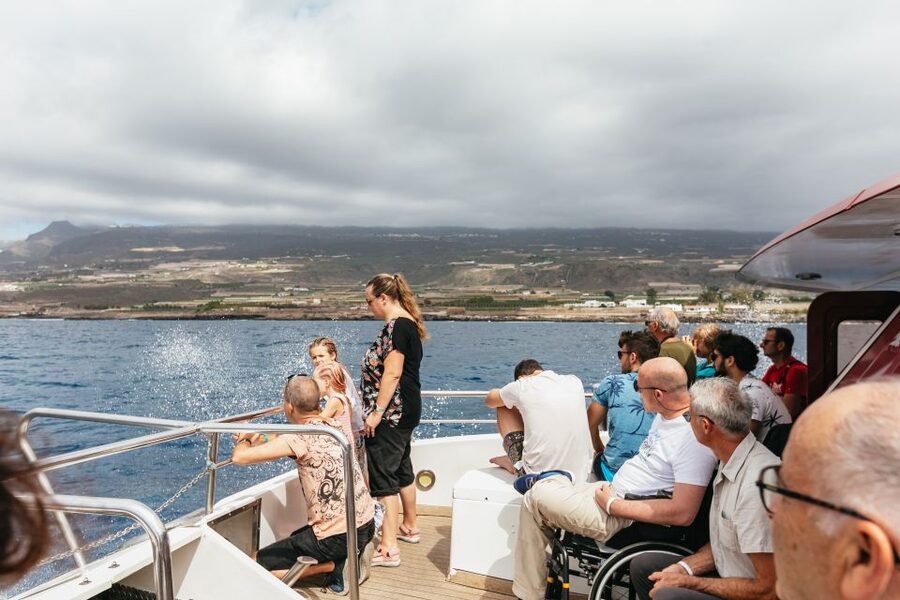 Adeje: Whale and Dolphin Watching Cruise with Lunch and Swim - What to pack and how to handle seasickness without drama