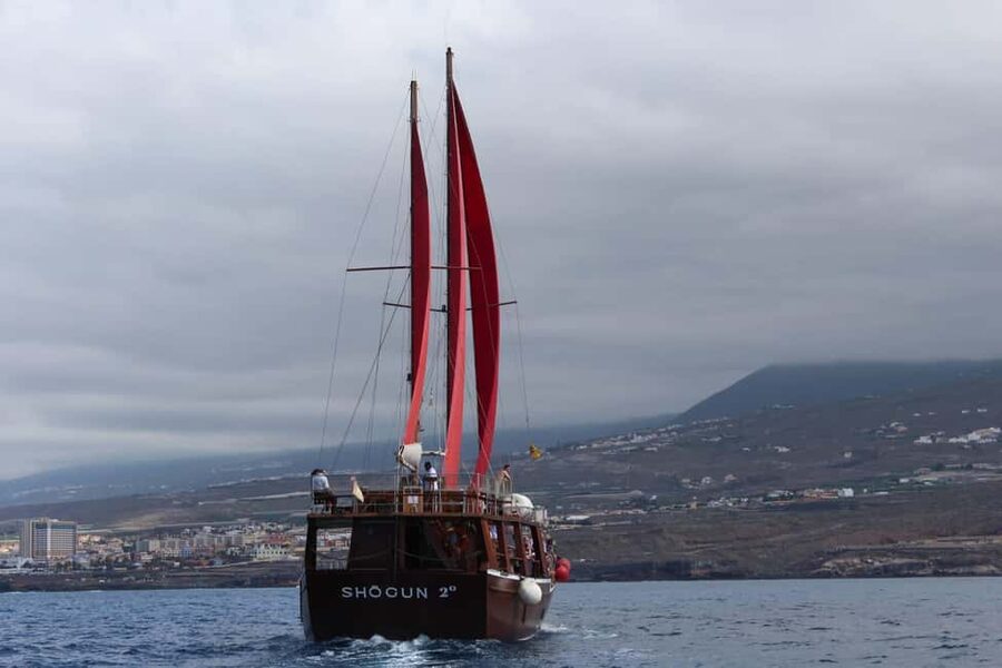 Adeje: Whale Watching, Lunch & Swim Stop at Los Gigantes - Masca Bay swim stop: the best reset in a 5-hour tour