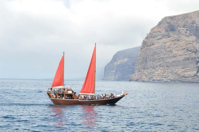 Adeje: Whale Watching, Lunch & Swim Stop at Los Gigantes - Seasickness reality check: who should prepare (and who should not worry)
