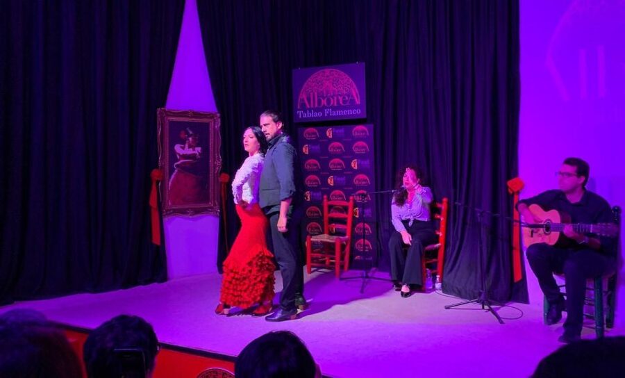 Albaicín & Sacromonte: Tour with Flamenco Show - The flamenco finale at Tablao Flamenco La Alboreá (next to Plaza Nueva)