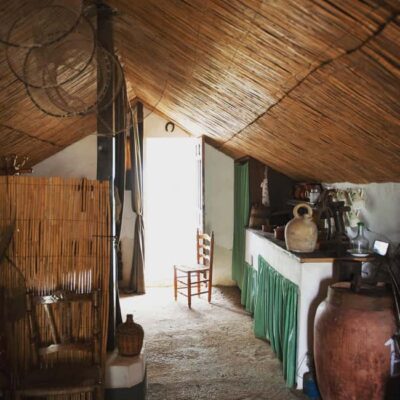 Albufera de Valencia: boat ride and visit to a barraca
