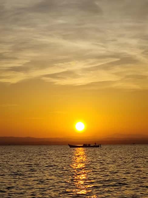 Albufera: Sunset and visit to the barraca - The Boat Ride: Reeds, Birds, and a Guided Explanation