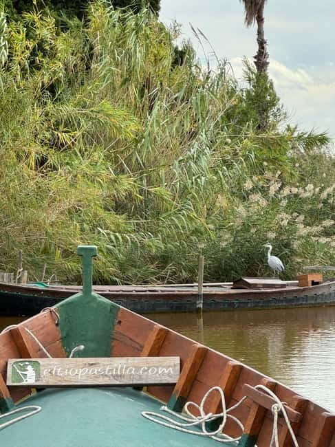 Albufera Valencia: Guided electric boat ride, also at sunset - Key Things I’d Watch For