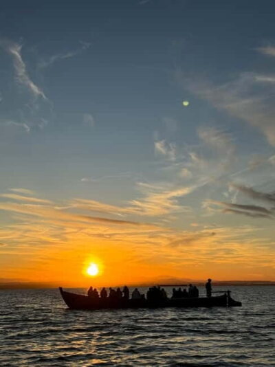Albufera Valencia: Guided electric boat ride, also at sunset