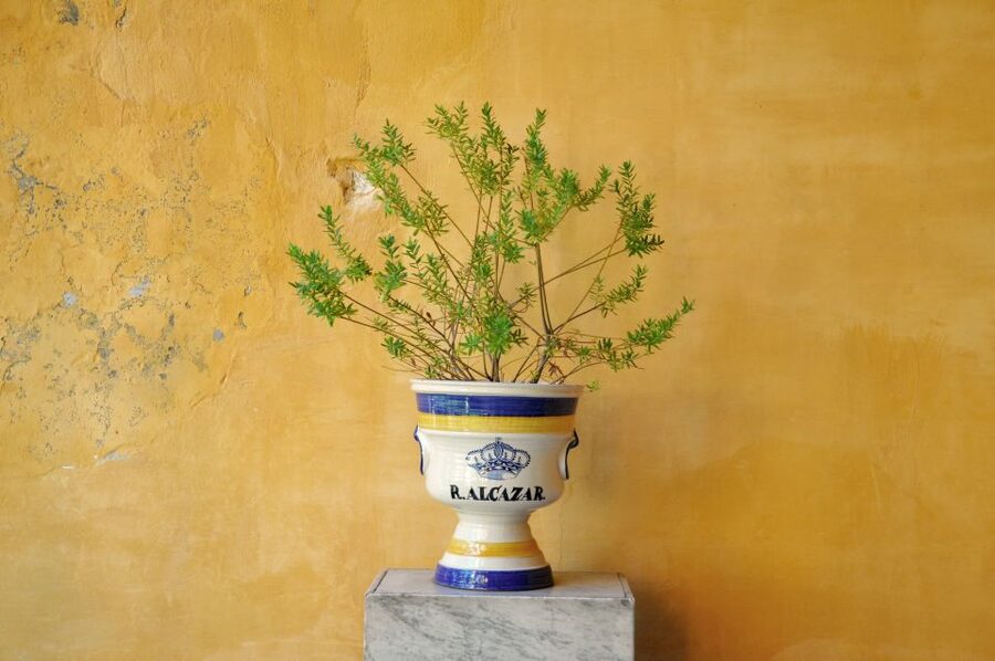 Alcázar of Seville Skip-the-Line Tickets and Guided Tour - Roman, Visigoth, and Arab Seville in the palace rooms
