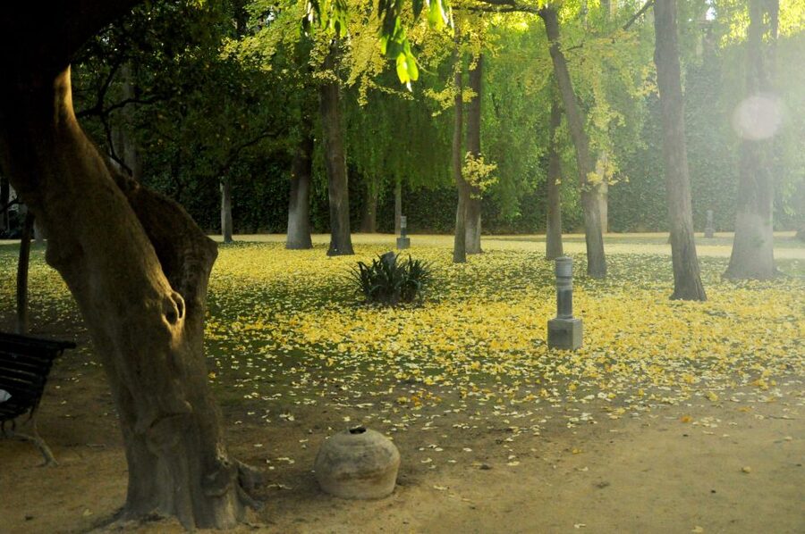 Alcázar of Seville Skip-the-Line Tickets and Guided Tour - Who this tour suits best