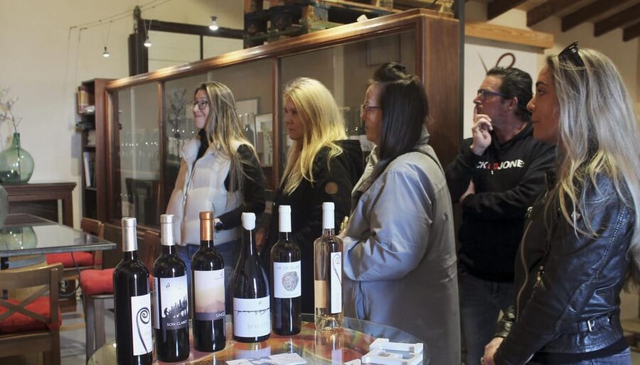 Alcúdia/Can Picafort: Guided Vineyard Visit and Wine Tasting - Price and Value Check for a $58 Wine Experience