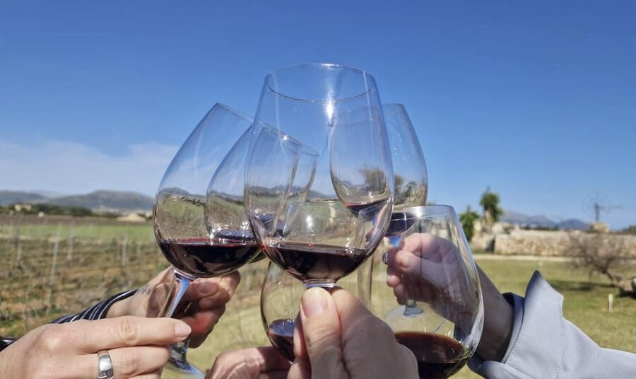 Alcúdia/Can Picafort: Guided Vineyard Visit and Wine Tasting - Picking Up in Alcudia and Can Picafort Without Getting Flustered