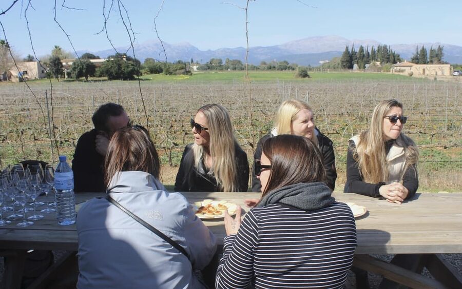 Alcúdia/Can Picafort: Guided Vineyard Visit and Wine Tasting - Inside the Wine Spaces: Oak, Aromas, and the Real-Maker Mindset