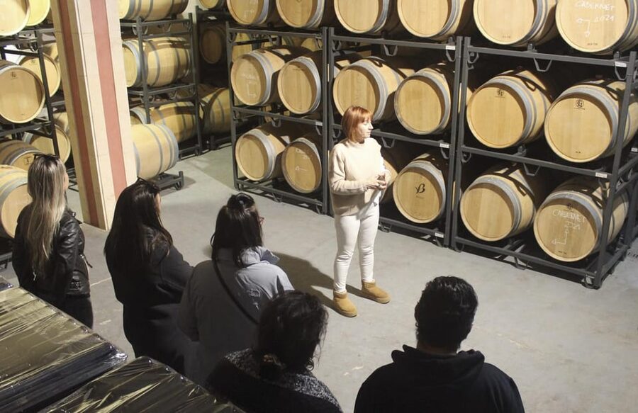 Alcúdia/Can Picafort: Guided Vineyard Visit and Wine Tasting - The Five-Wine Tasting Flight, With Snacks That Make Sense