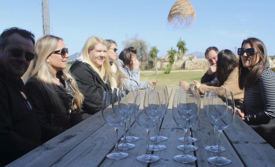Alcúdia/Can Picafort: Guided Vineyard Visit and Wine Tasting - Buying Bottles at Special Prices, Without the Hard Sell