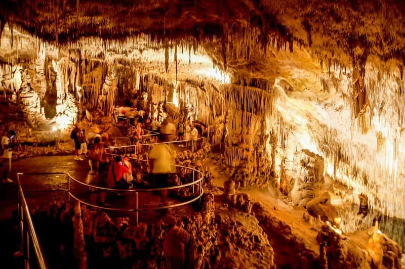 Alcudia: Caves of Drach Tour from the North with Boat Trip - Should you book this Alcudia Caves of Drach tour?