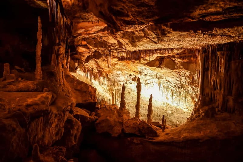 Alcudia: Caves of Drach Tour from the North with Boat Trip - Alcudia pickup to Porto Cristo vibes, then underground