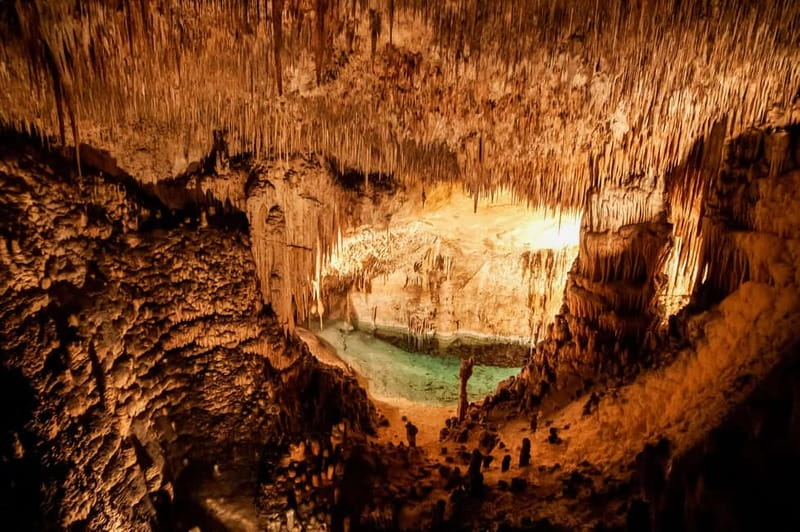 Alcudia: Caves of Drach Tour from the North with Boat Trip - Who this suits best, and who should think twice