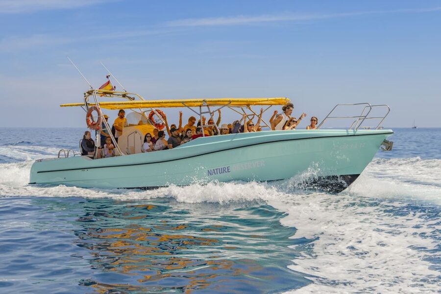 Alcudia: Coll Baix Beach & Sea Caves Cruise with Snorkeling - Hotel pickup to the port: expect a smooth start, not a complicated one