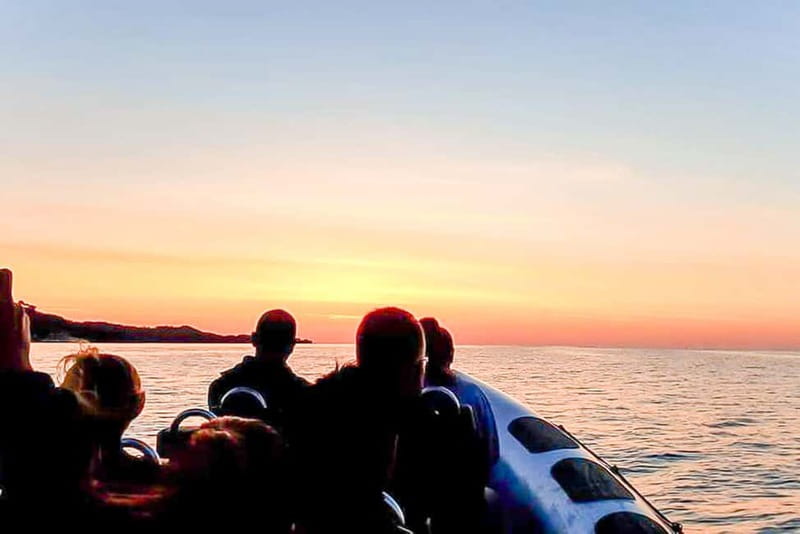 Alcudia: Formentor Beach, Lighthouse Cruise, and Small Group - The guides and why they make the trip feel worth it