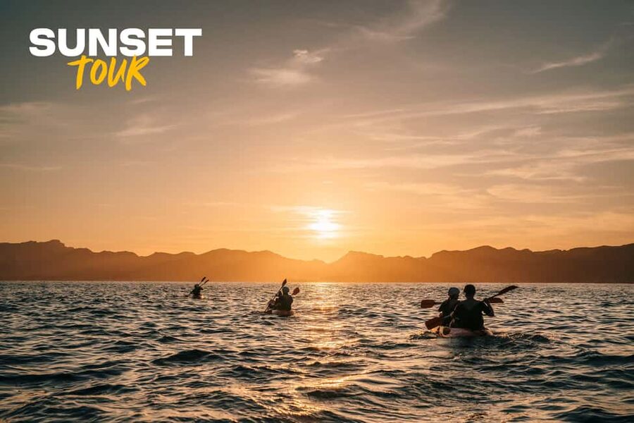 Alcudia: Kayak Tour with Snorkel & Sea Cave Swim - Key Points to Know Before You Go