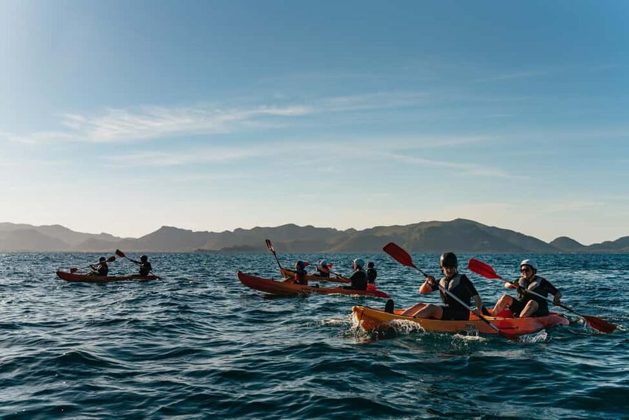 Alcudia: Kayak Tour with Snorkel & Sea Cave Swim - Price and Value: What $64 Includes and What You Should Budget
