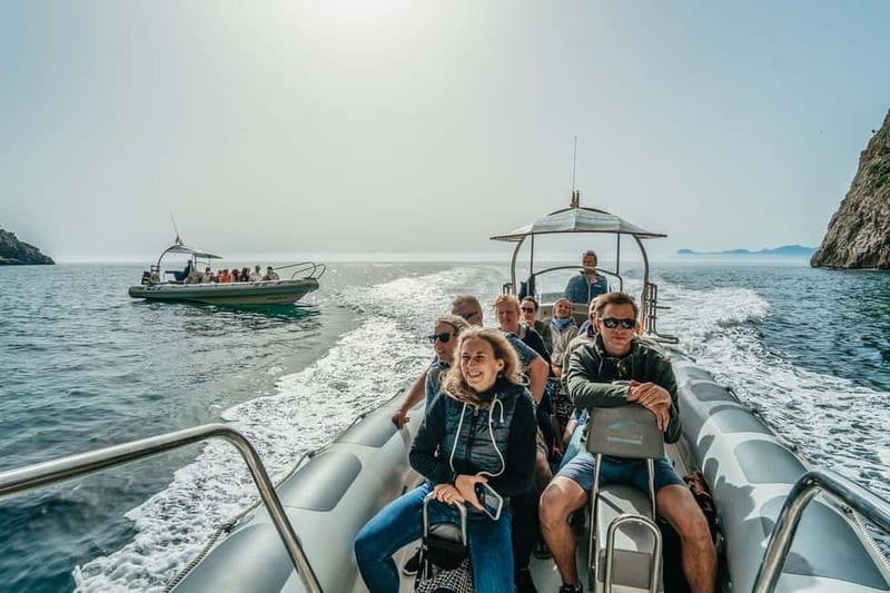 Alcudia or Can Picafort: Dolphin-Watching Cruise - Who should book this cruise, and who should reconsider