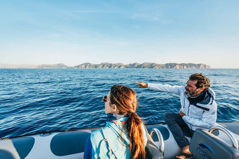 Alcudia or Can Picafort: Dolphin-Watching Cruise - How the 3-hour cruise in Alcudia actually feels