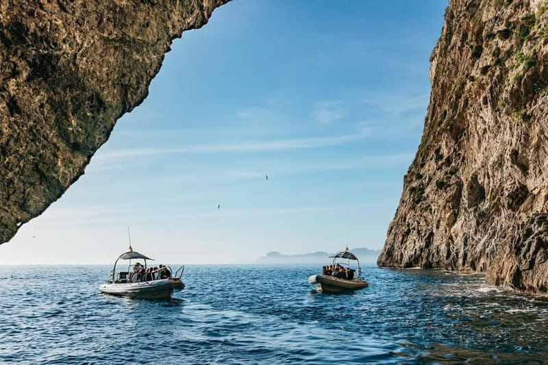 Alcudia or Can Picafort: Dolphin-Watching Cruise - Cabo Formentor, UNESCO cliffs you can’t get by foot