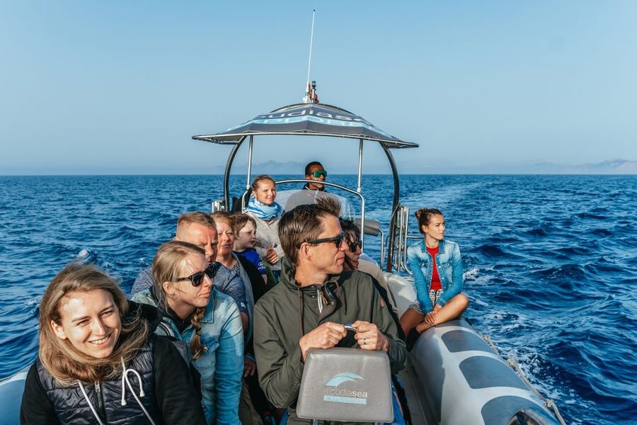 Alcudia or Can Picafort: Dolphin-Watching Cruise - Dolphin watching that prioritizes time on the water
