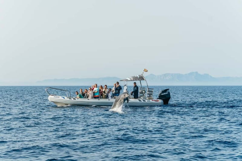 Alcudia or Can Picafort: Dolphin-Watching Cruise - Sea caves from the water: the coast looks sharper at speed