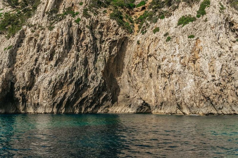 Alcudia or Can Picafort: Dolphin-Watching Cruise - Es Coll Baix swim stop: what you’ll love, plus what to plan for