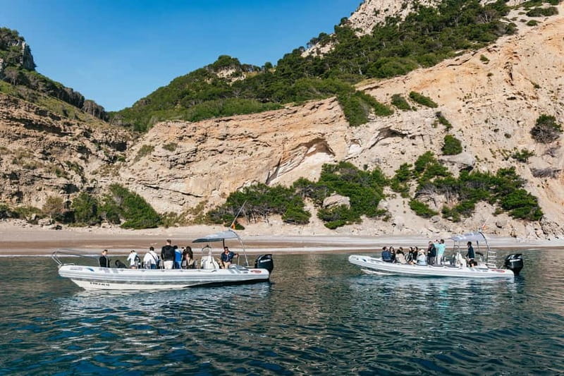 Alcudia or Can Picafort: Dolphin-Watching Cruise - Price and what you really get for $100 per person