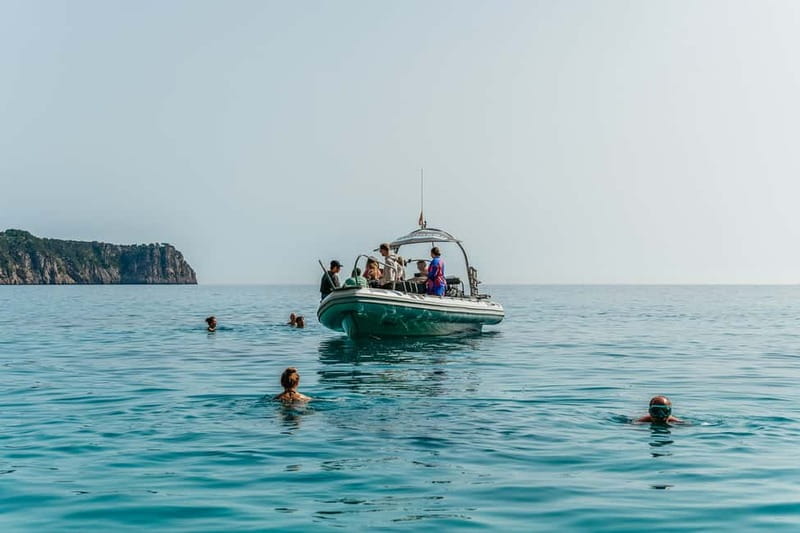 Alcudia or Can Picafort: Dolphin-Watching Cruise - Weather, wind, and motion sickness: the practical part that matters