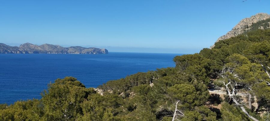 Alcudia: Quad Sightseeing Tour with Viewpoints - From Port d’Alcudia To Alcanada: Chic Coastline With A Golf-Course Edge