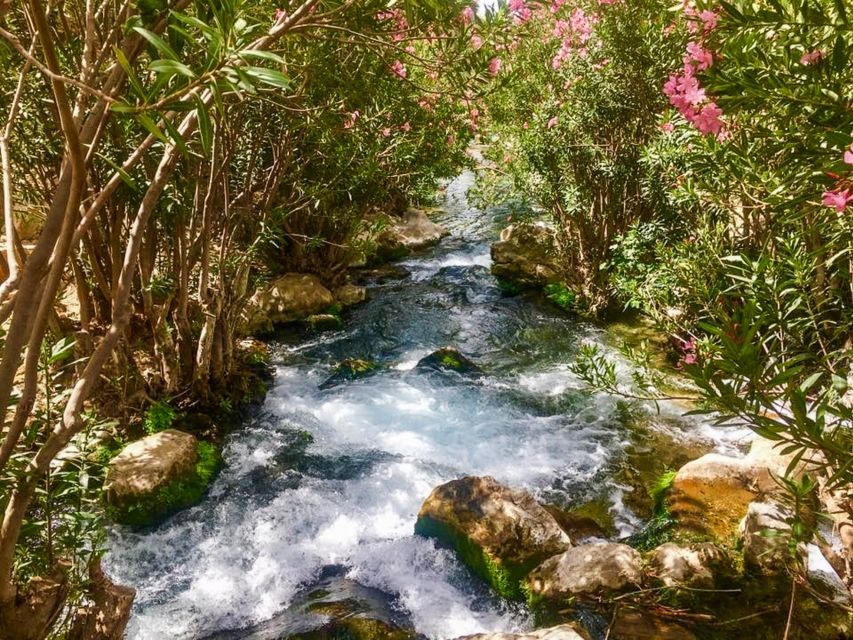 Algar Waterfalls Coach Trip - From Albir & Benidorm - Who should book the Algar Waterfalls coach trip?