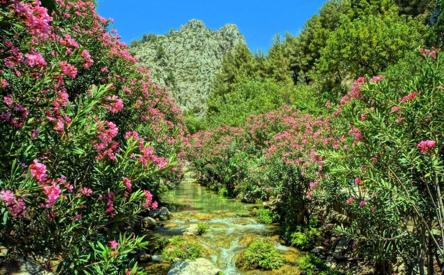 Algar Waterfalls Coach Trip - From Albir & Benidorm - Should you book this Algar Waterfalls coach trip?