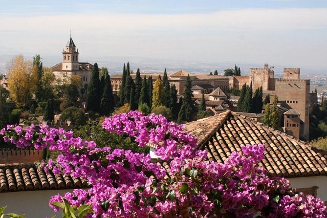 Alhambra &Charles Palace Guided Tour with Optional Nasrid Palaces - What makes the Nasrid Palaces worth your time