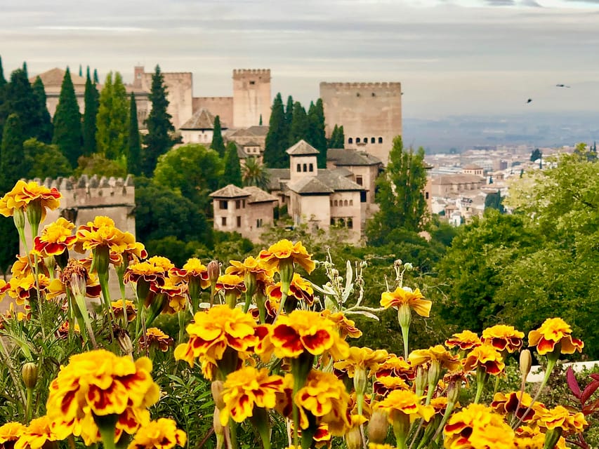 Alhambra: Guided Private Tour with Fast-Track Entry - Fast-Track Entry That Actually Matters at Alhambra