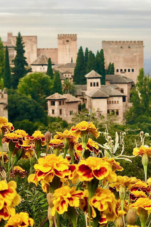 Alhambra: Guided Private Tour with Fast-Track Entry - What $165 Buys You (And Why It Can Be Worth It)