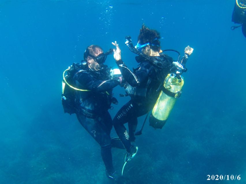 Alicante: Denia Beginners Scuba Diving Experience - Key points to know before you go