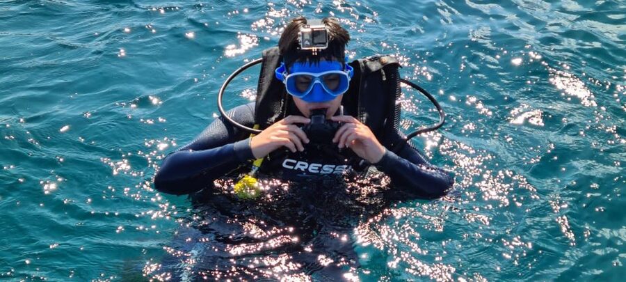 Alicante: Denia Beginners Scuba Diving Experience - Two-part training: communication, finning, and equipment basics