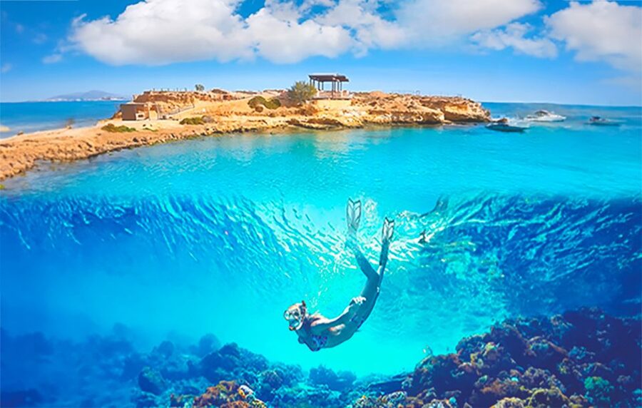 Alicante : E-Bike Coast Tour, Roman Fish Farm and Snorkeling - Key things I’d mark on your shortlist