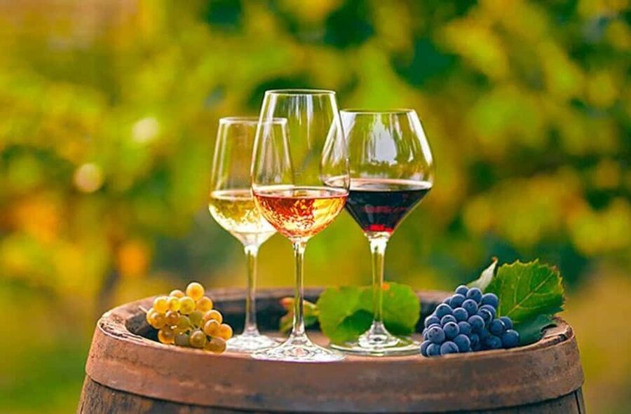 Alicante: Old Winery with Tastings & Gaudí's style of Church - Key highlights you should know