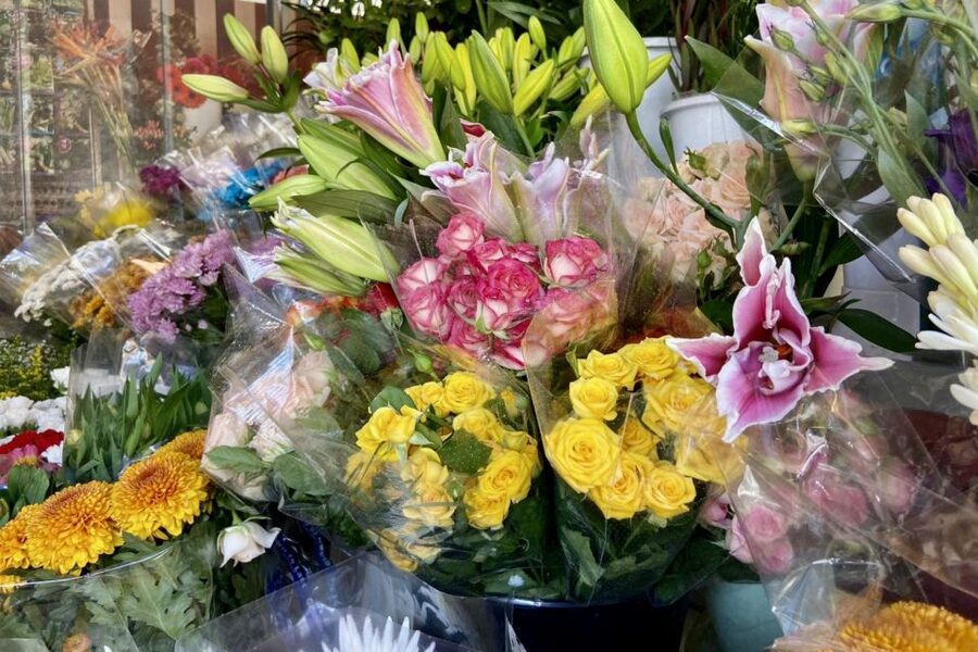 Alicante: Secret Flavors Food Tour - Who should book the Alicante Secret Flavors Food Tour