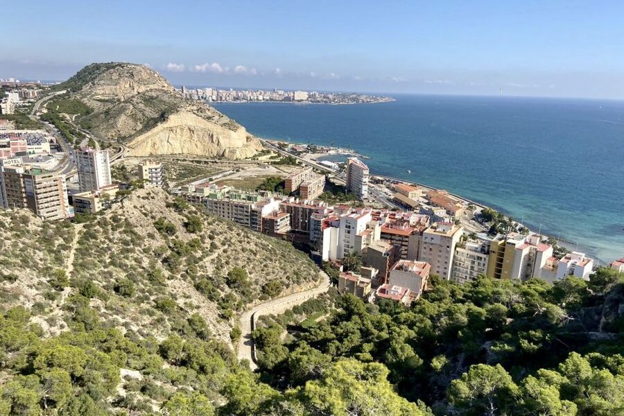 Alicante: Seven Secrets of Alicante Discovery Tour - Price and Value: Is $34 Actually Good Here?